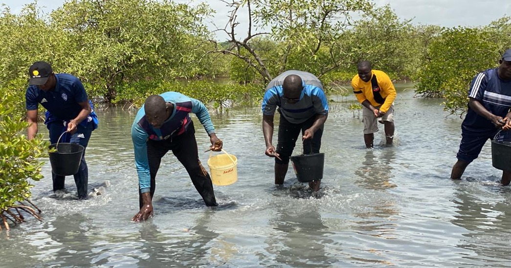 Photo Credit | Ziguinchor Climate Change Club  