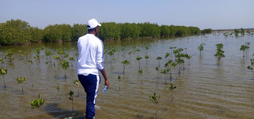 Photo Credit | Ziguinchor Climate Change Club